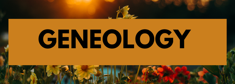 Geneology Banner.png